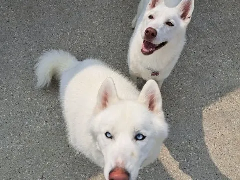 customer photo of BW