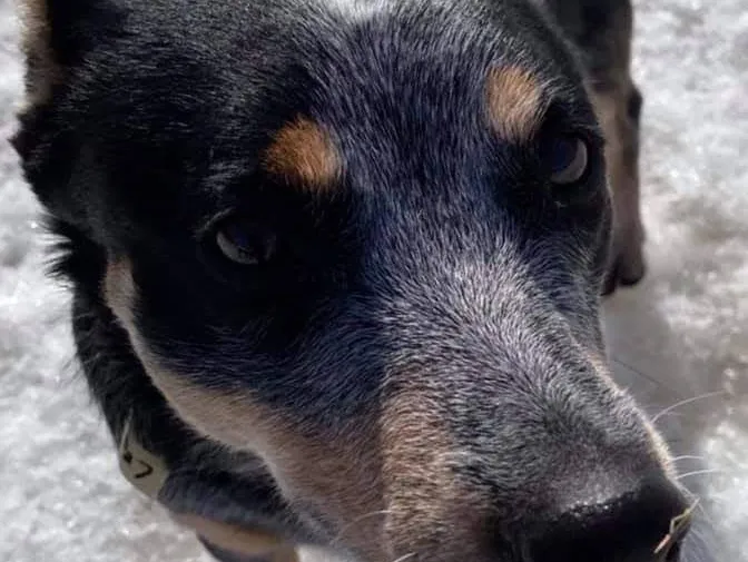 customer photo of William Brown